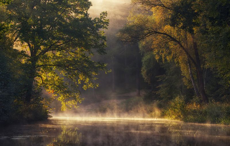 Утро на озере фото превью