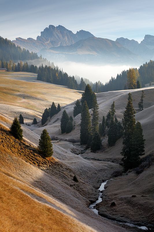 morning, light, alps, mountains, italy, dolomites, peaks, fog, mist, valley, trees, europe, landscape Dolomites фото превью