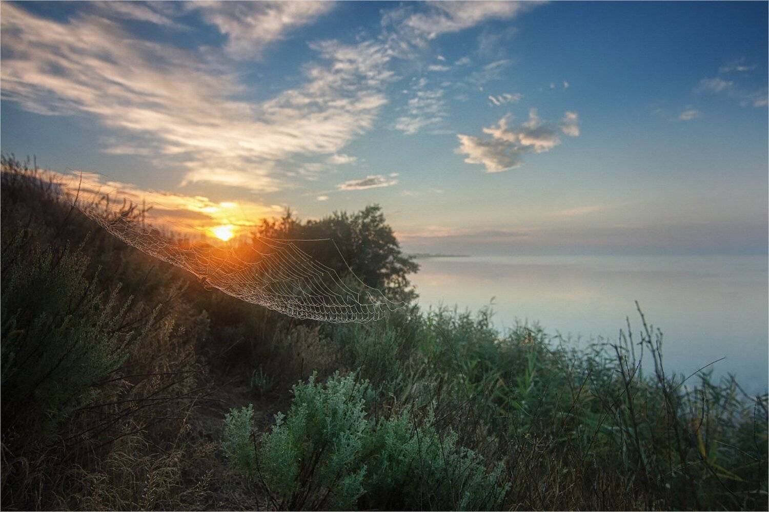 утро море солнце паутина hammock sun, Игорь Марценюк