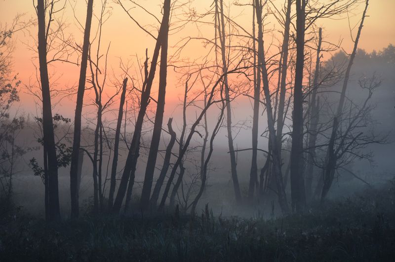 ... фото превью