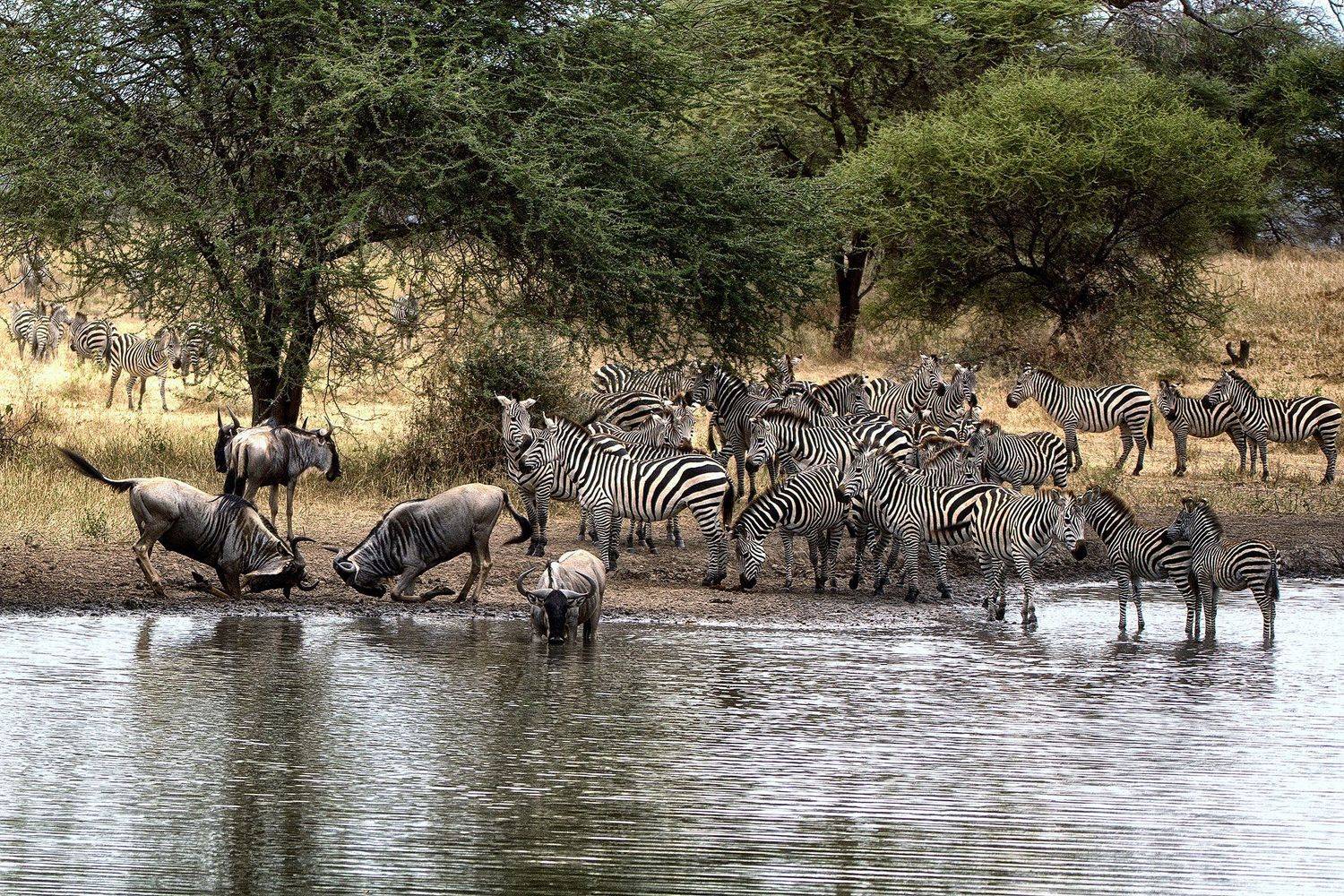 , Рашид Усманов