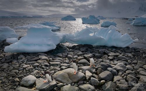 В колонну по одному