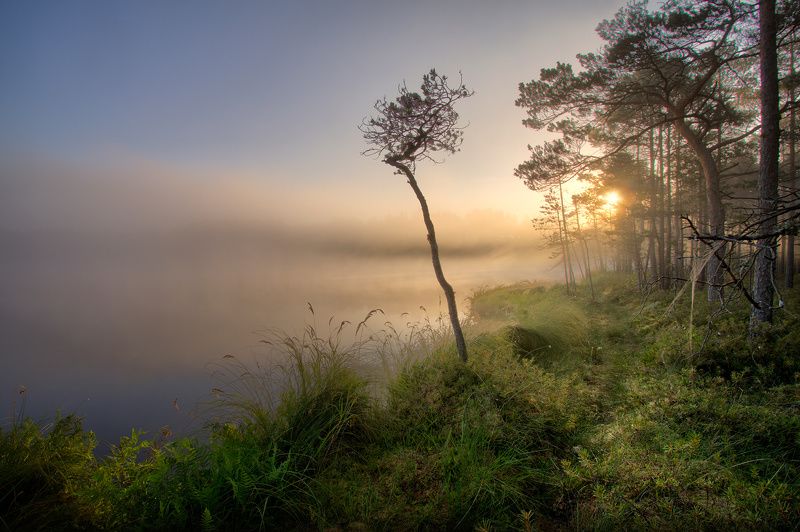 Утречком... фото превью
