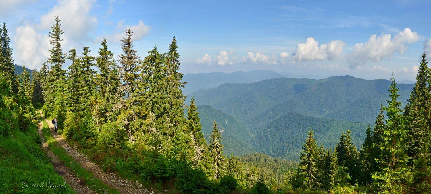 карпаты, горы, мармаросский массив, Валерий Наумов