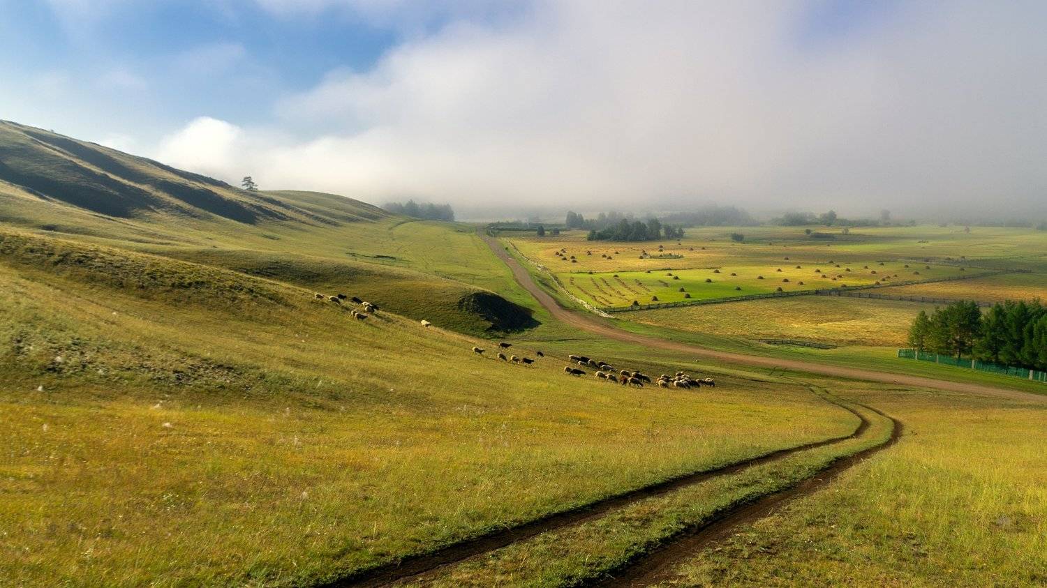 пастораль, дорога, сено, стога, покос, Леонид Максименко