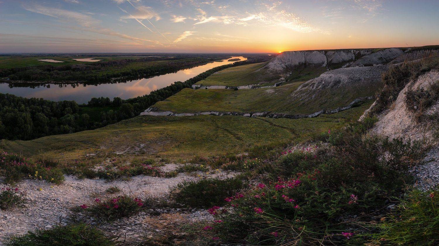 , Александр Сыроватский