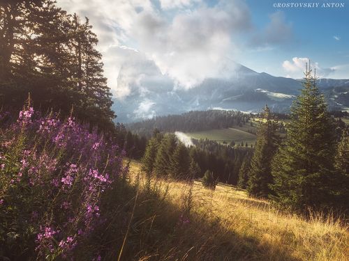 Утро в Альпах