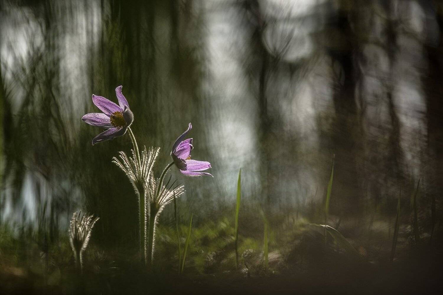 , Геннадий Мещеряков