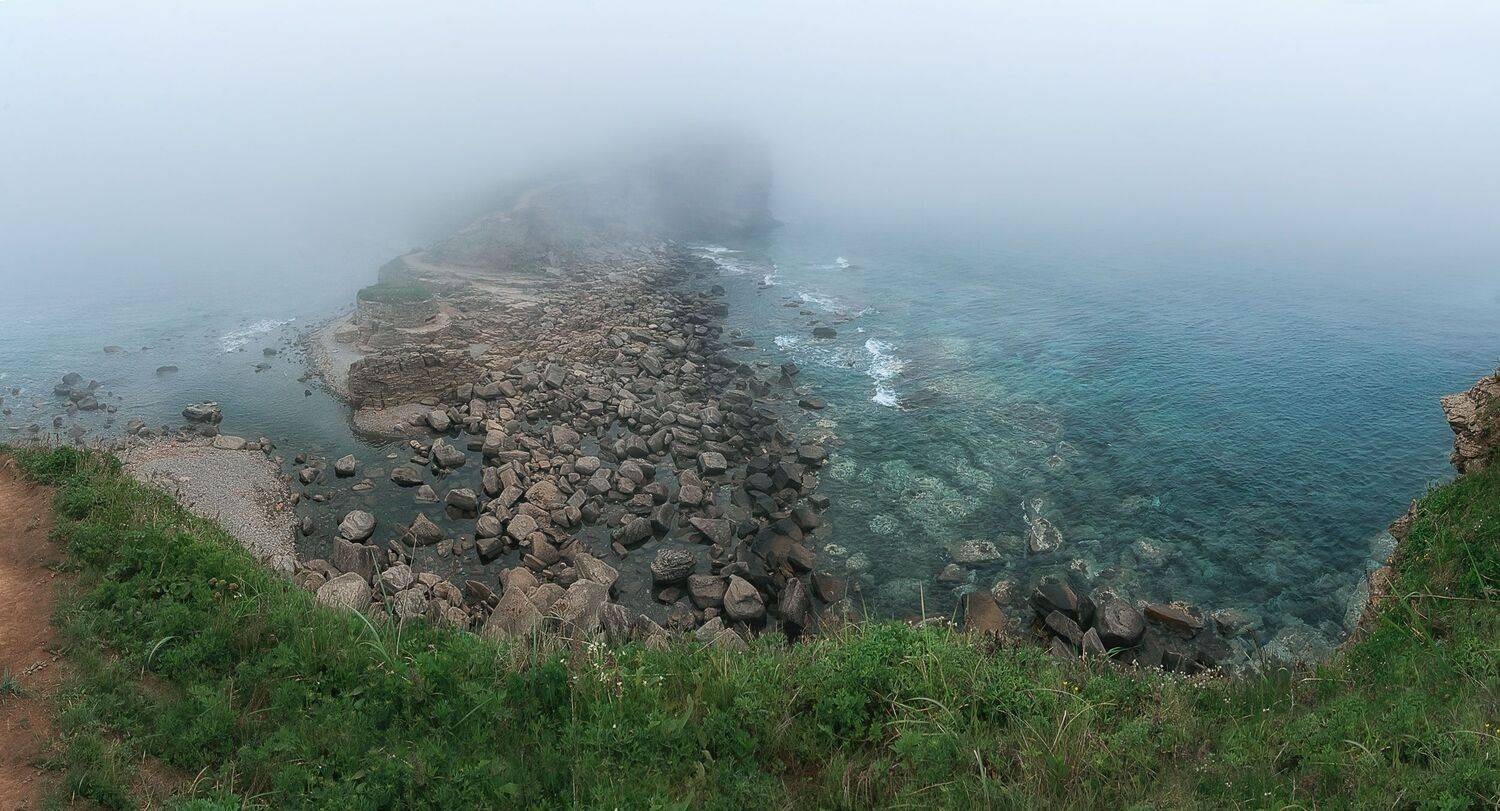 , Шинкарева Елена