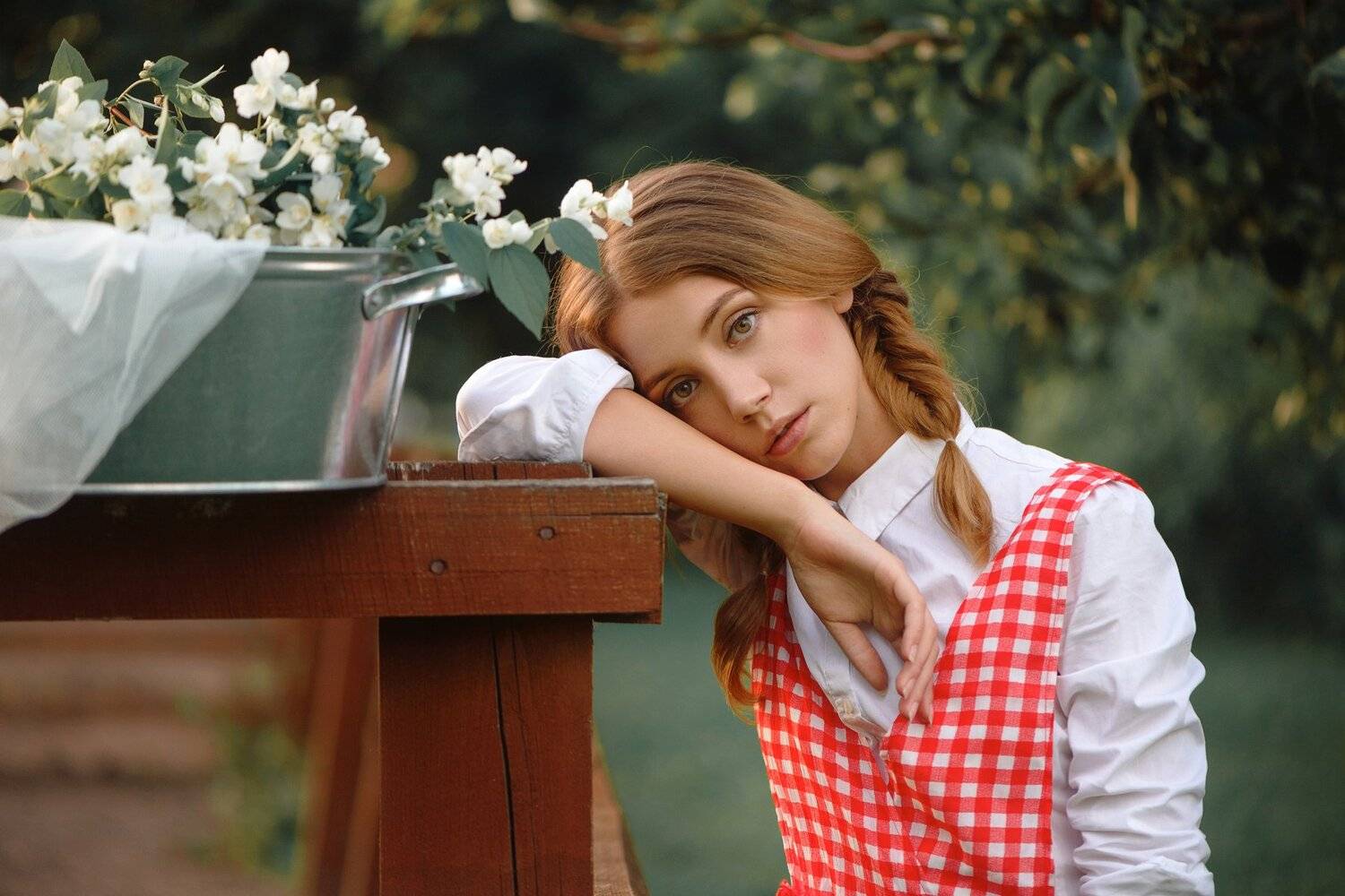 , Анастасия Добровольская