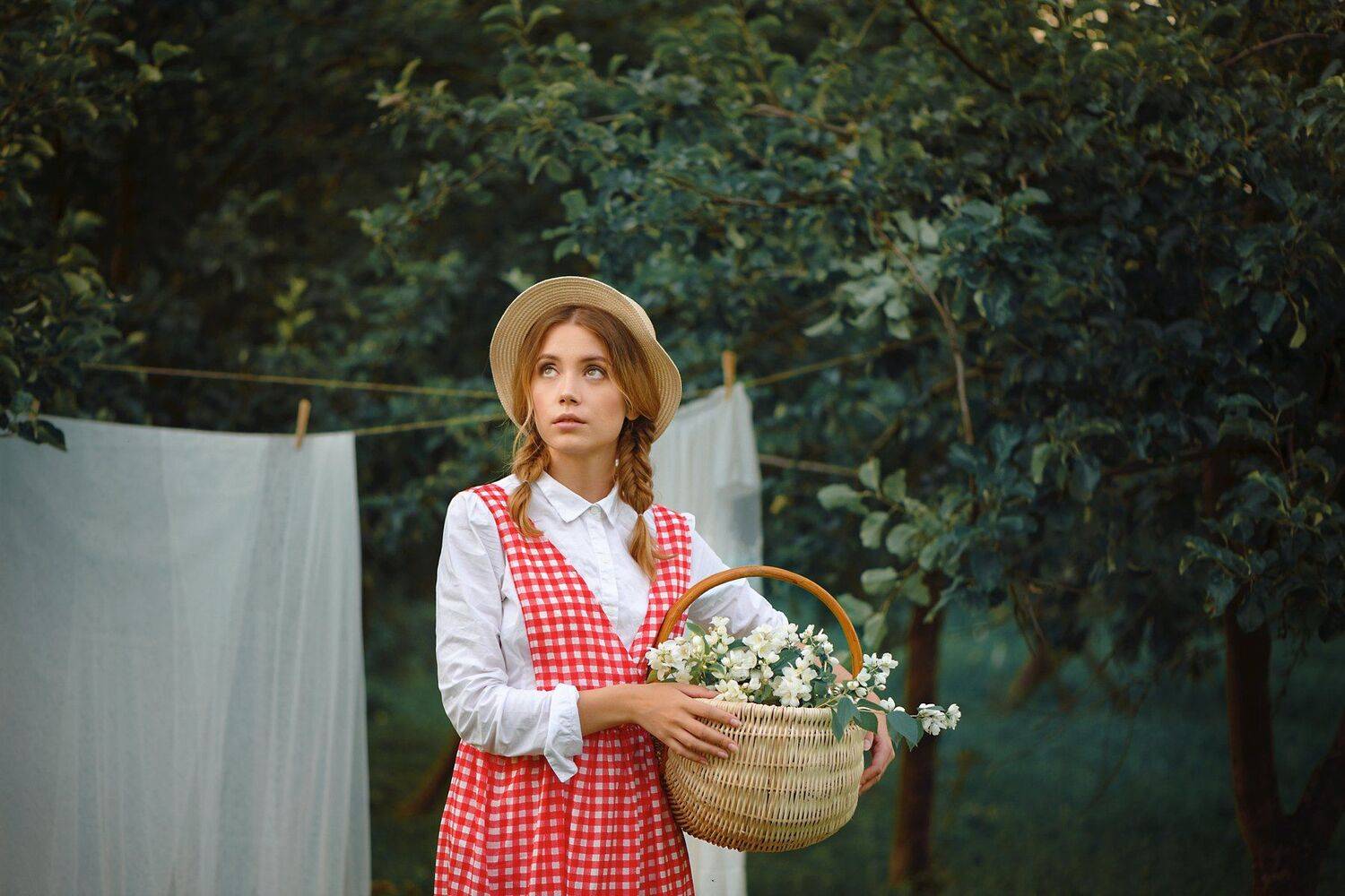 , Анастасия Добровольская