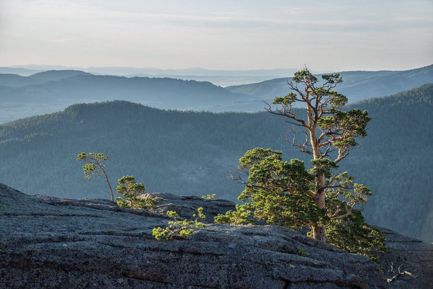 горы, Евгений Дроботенко