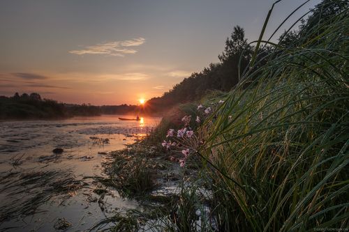 Утро на реке