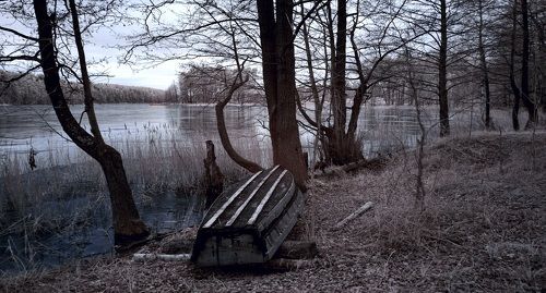 Рисунок из декабря 2. Инфракрасная фотография.