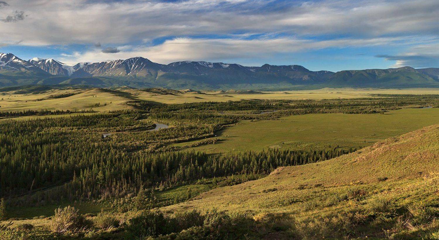 , Дмитрий Д.