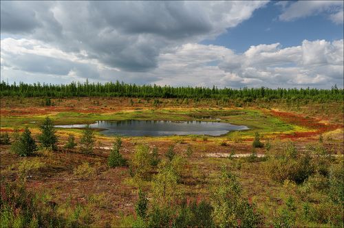 По дороге в Надым