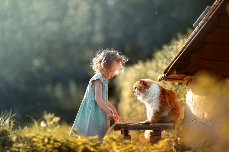 фото превью