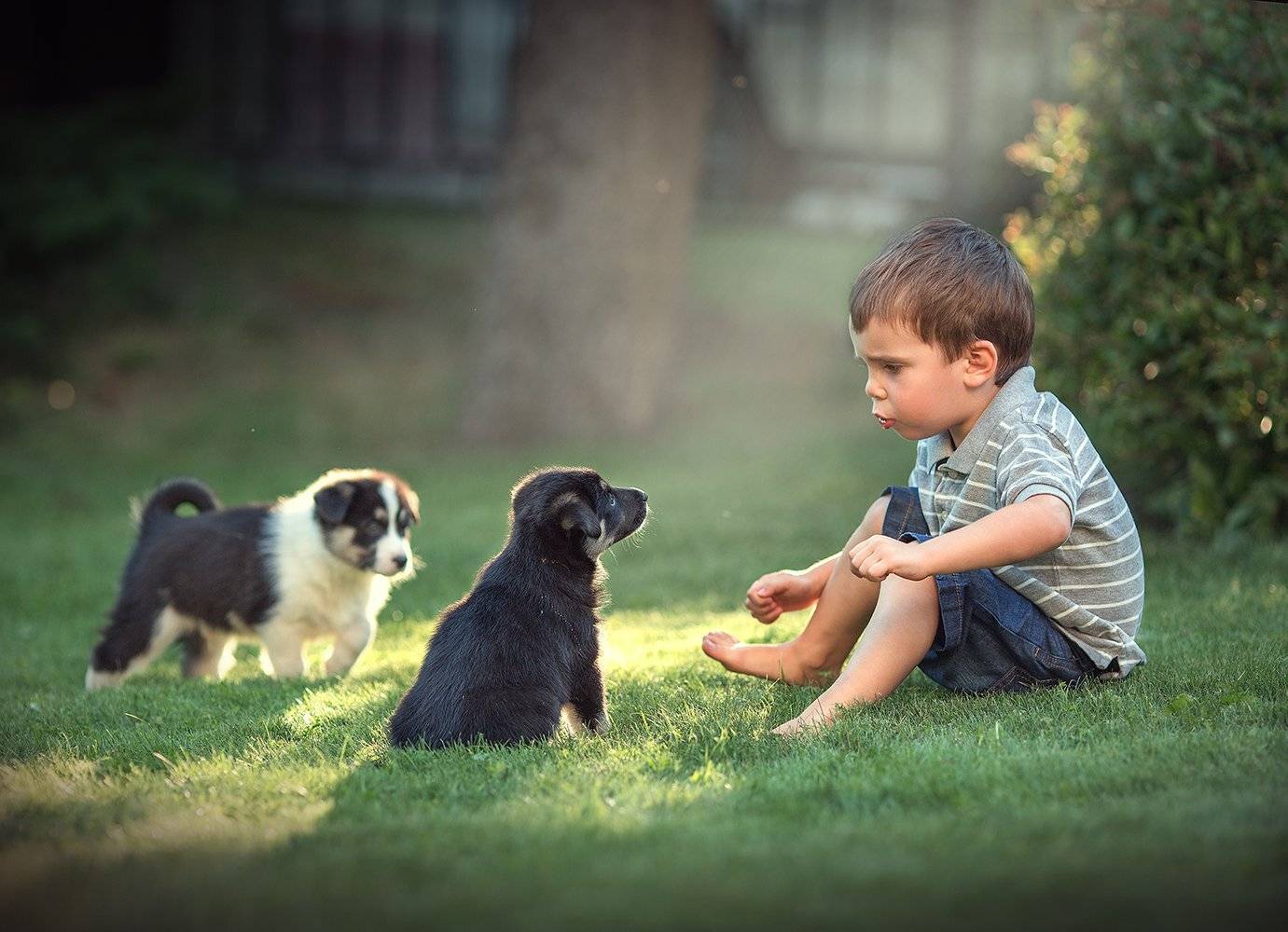 , Диана Аникеева