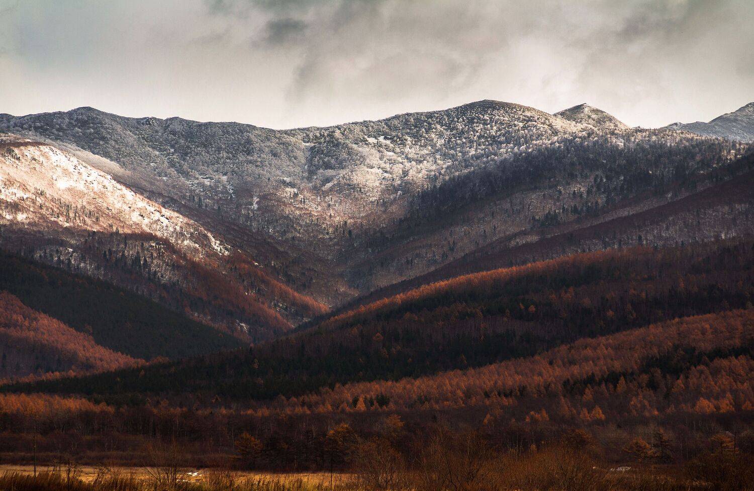 , Артем Удодов