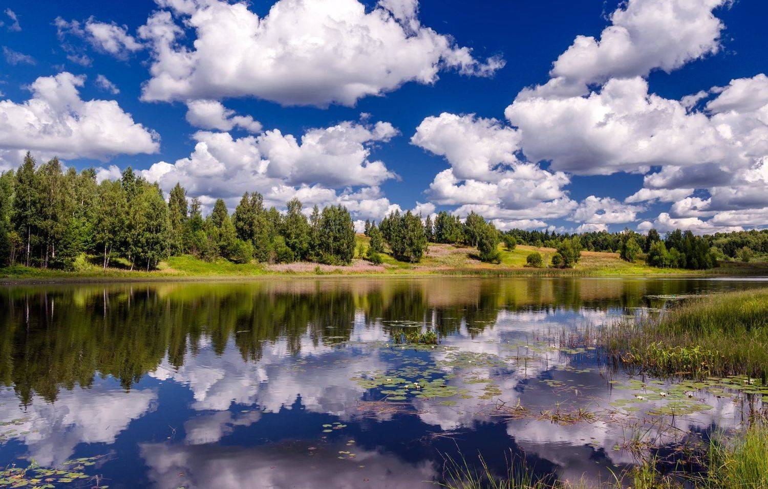 , Руслан Авдевич