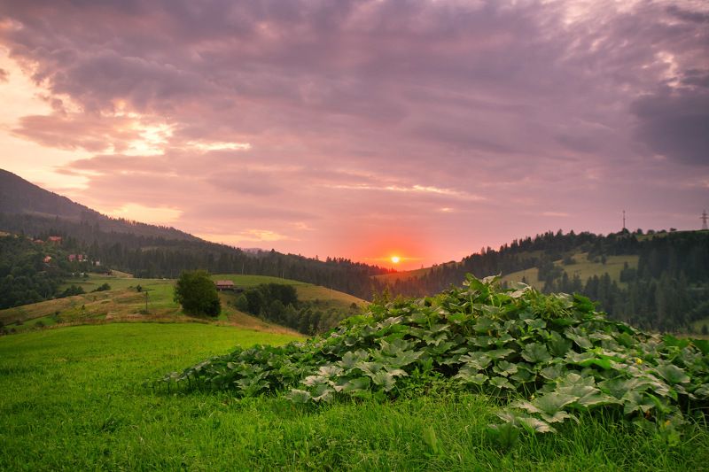 вечер, горы, закат, июль, карпаты, лето Про юные Halloween\'ы на фоне подобовецкого заката фото превью