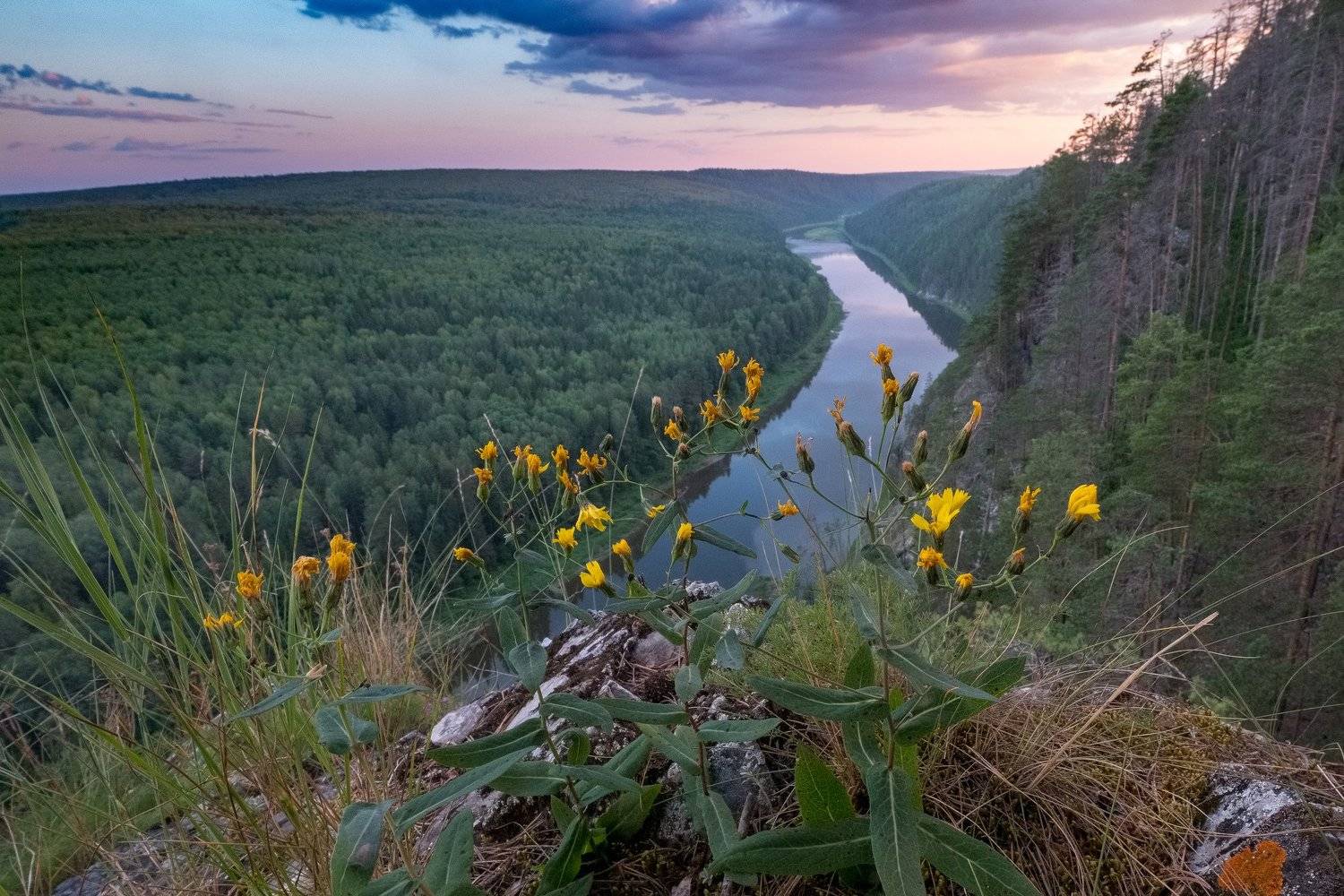 закат, цветы, река, скала, лес, чусовая, пермский край, Савицкий Ян
