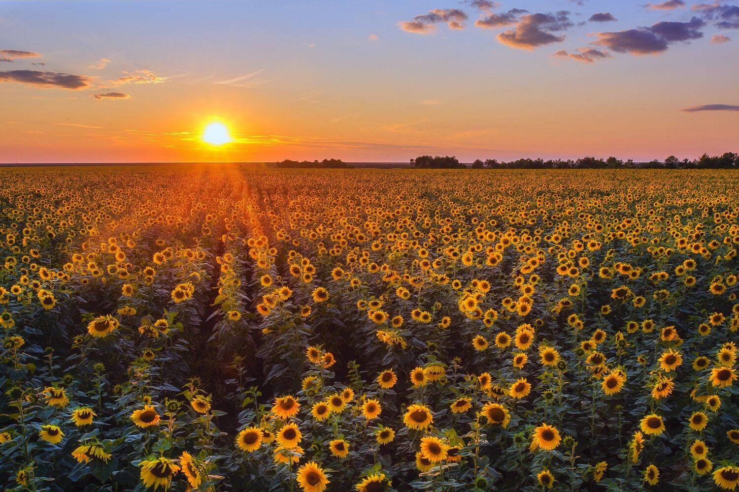 , Павел Сагайдак
