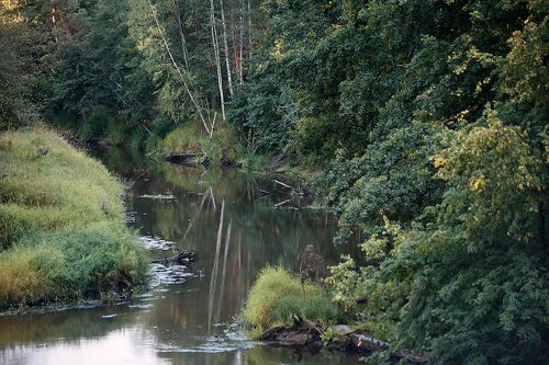 PROгулка у летней реки …