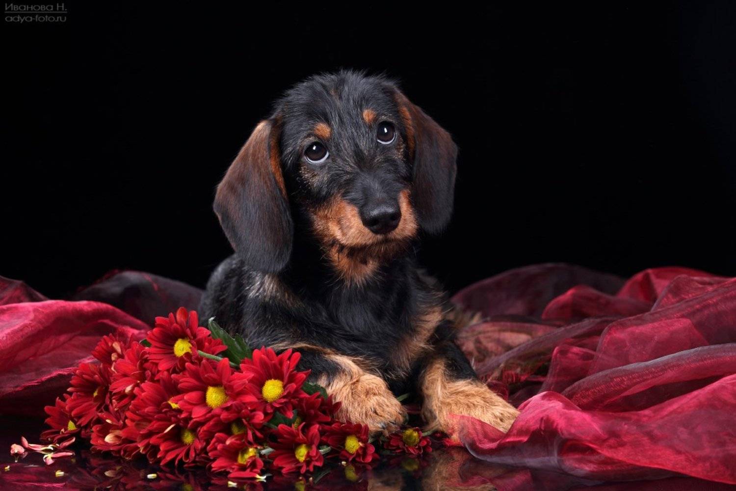 , Надежда Иванова