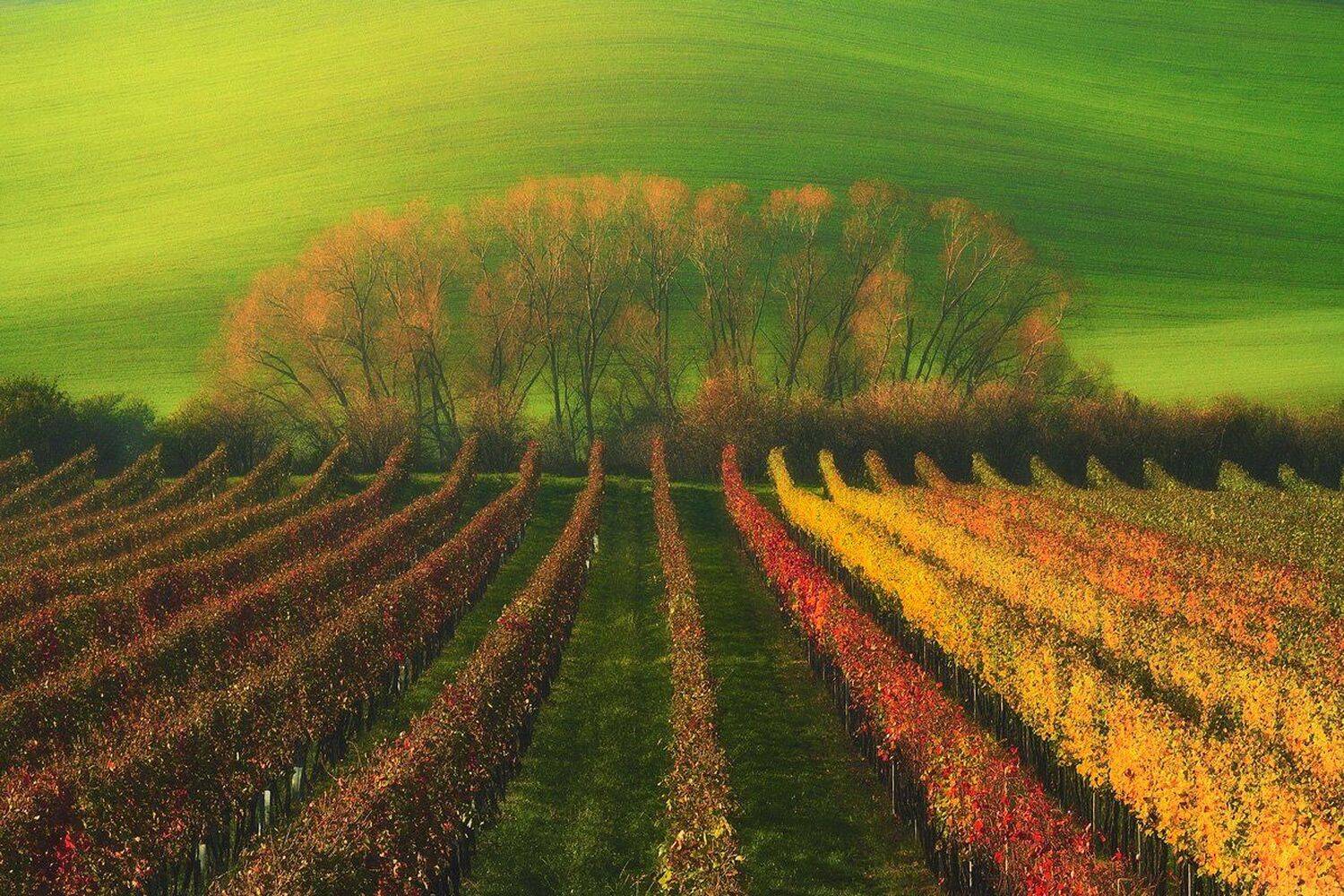 landscape,canon,light,autumn,moravia, Iza i Darek Mitręga