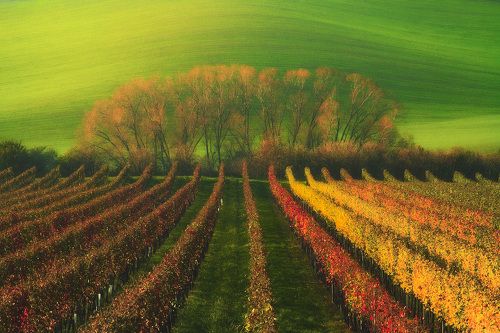 Colours of Autumn.