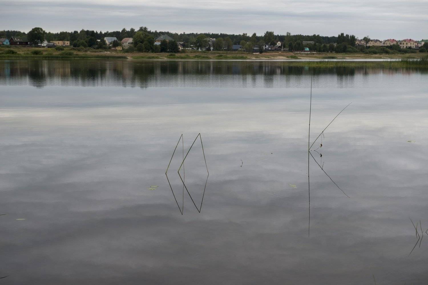 псков, Ирина