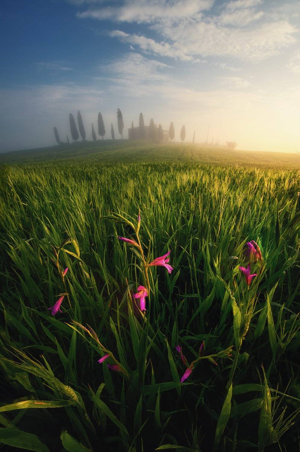 , Красимир Матаров