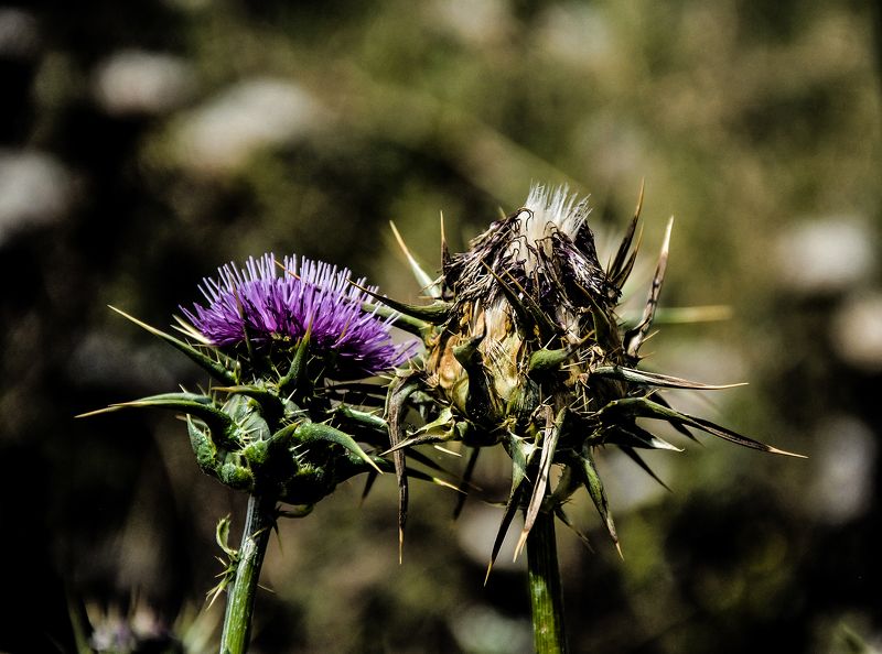 death, and, life Death and life фото превью