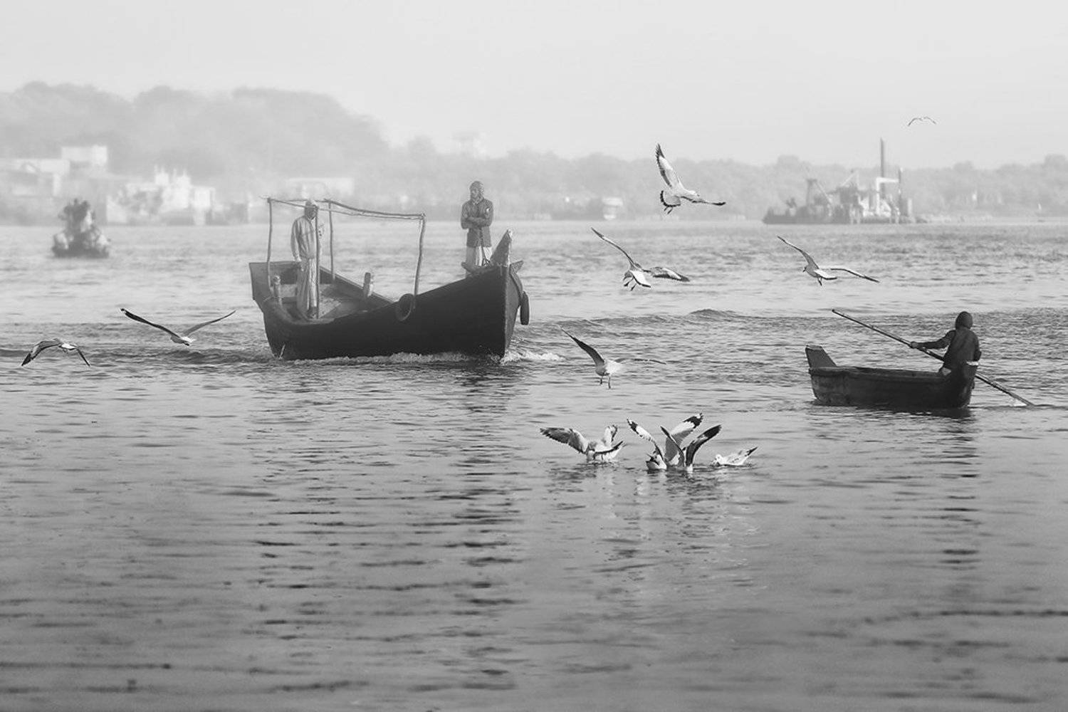 бангладеш, рыбаки, лодка, чайки, промысел, рыбалка, утро, рано, ALLA SOKOLOVA