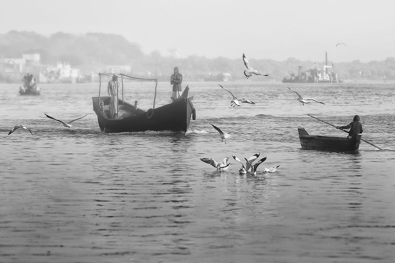 бангладеш, рыбаки, лодка, чайки, промысел, рыбалка, утро, рано Ранним утром фото превью