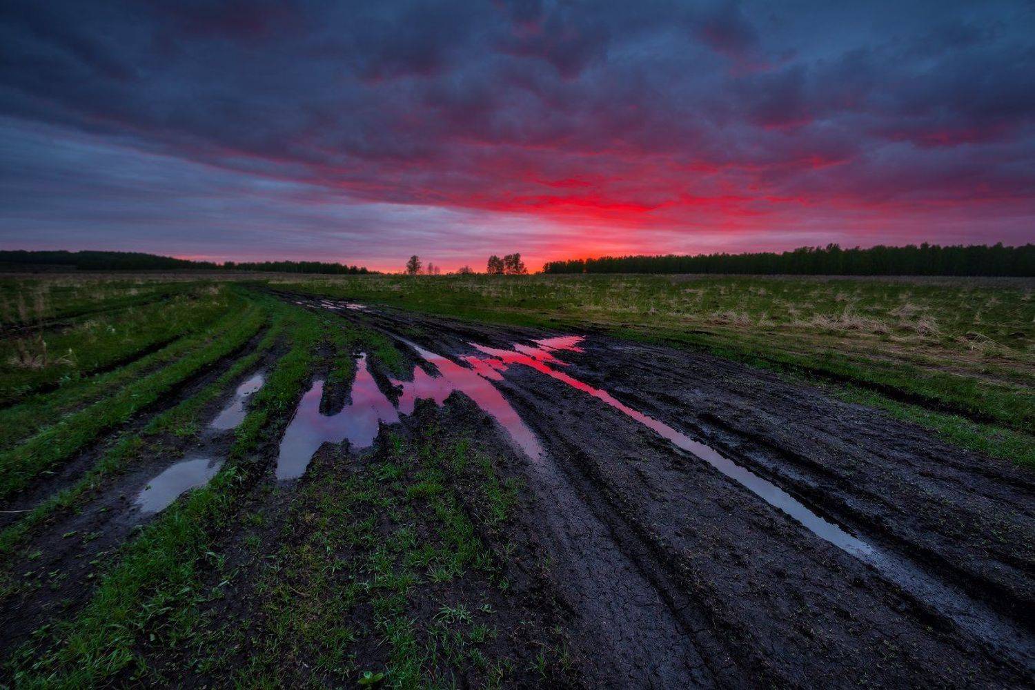 , Михаил Трахтенберг
