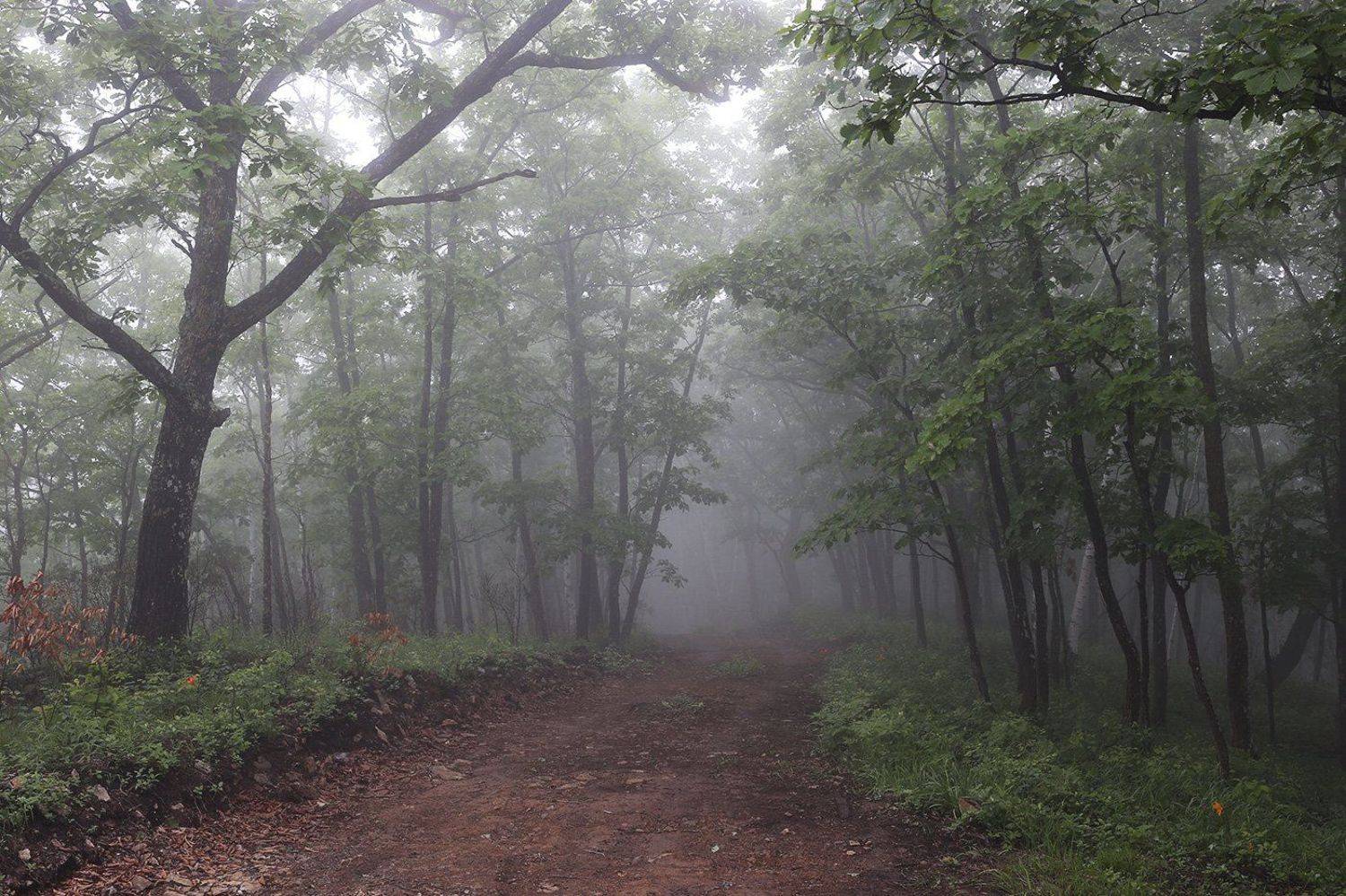 , Дмитрий Рудаков