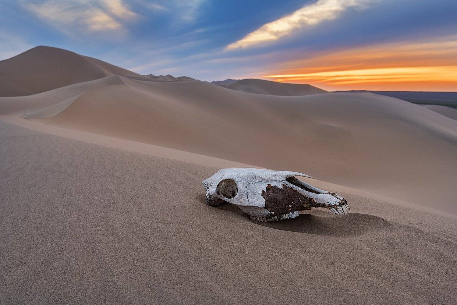 , Дмитрий Саприн