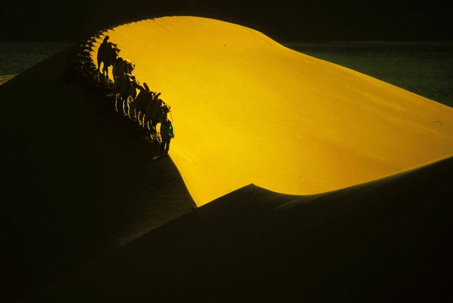 , Inkol Yu  유인걸