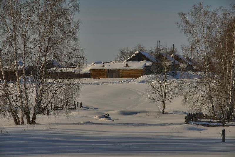 послезимье,задворки,снег,березы,изгородь,сараи,деревенские постройки,дома под снегом, siberian winter, after-winter, backyard, snow, birches, fence, sheds, village buildings, houses under snow. У февраля на задворках. фото превью