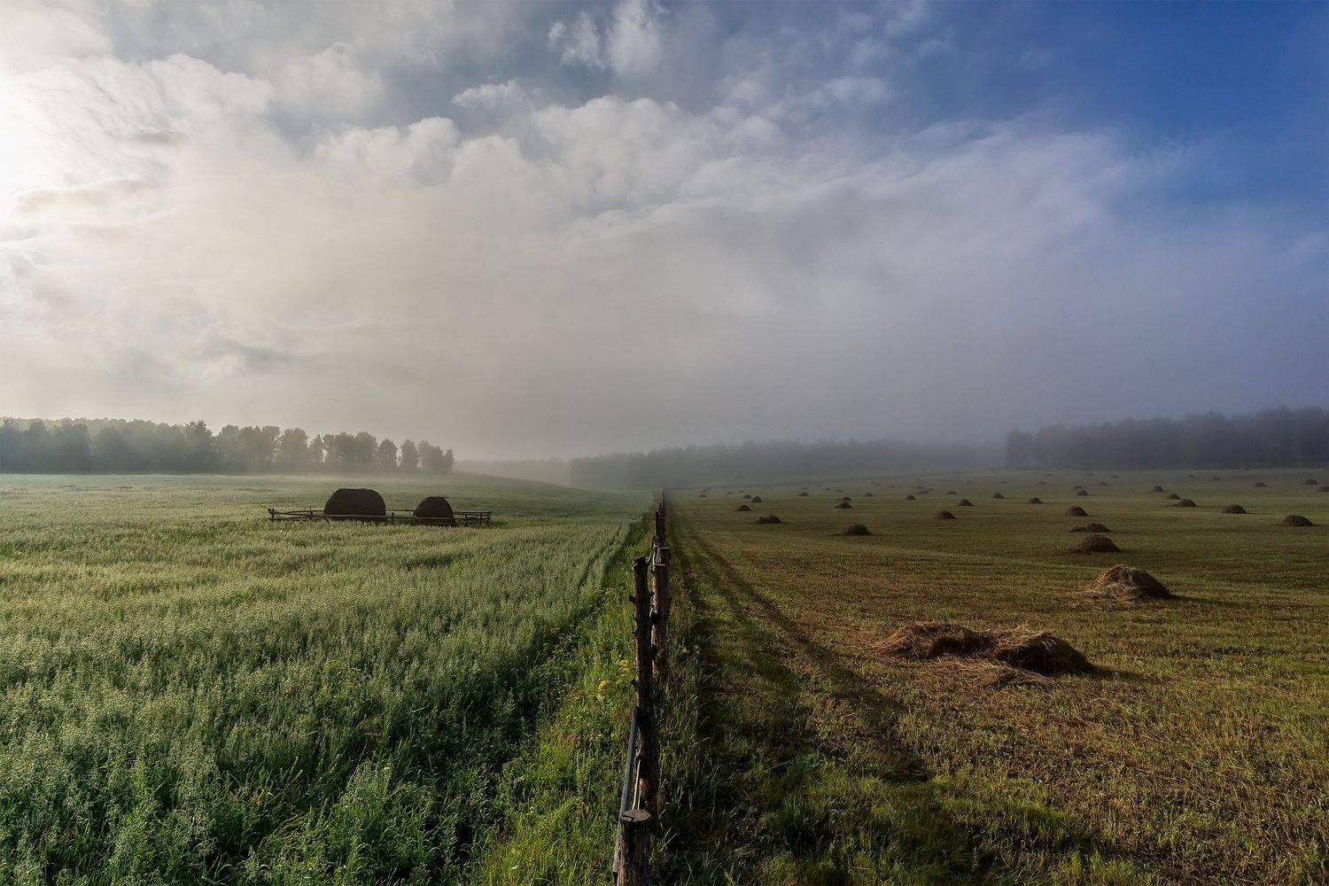 туман, поле, забор, Леонид Максименко