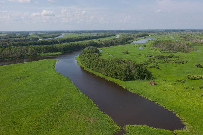 БВБ фото превью