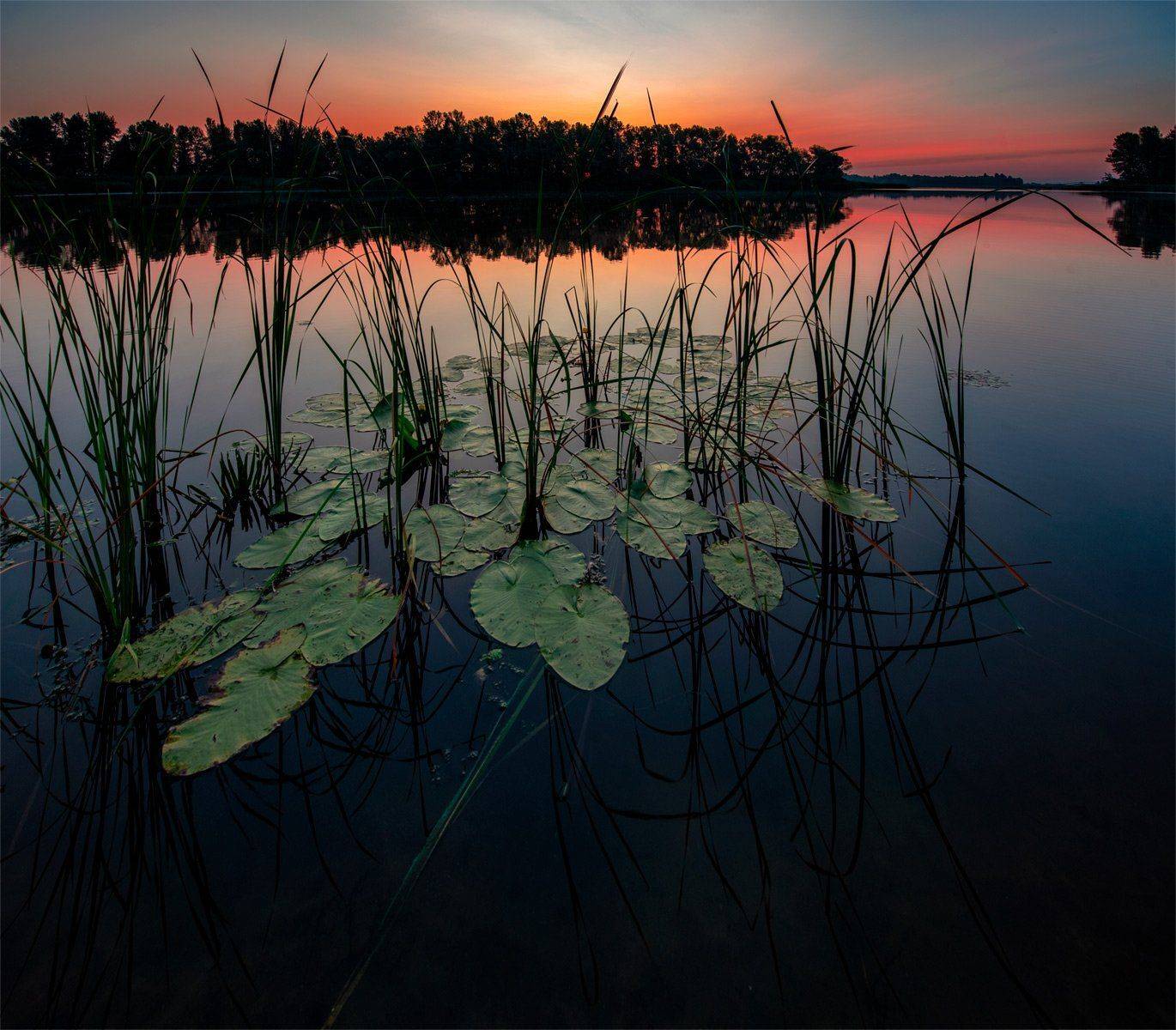 , Юрий Юрьев