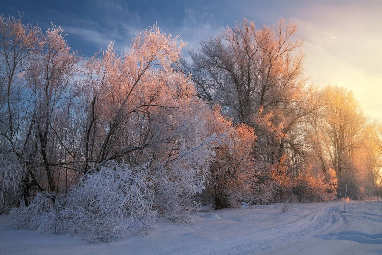 , Смольский Евгений