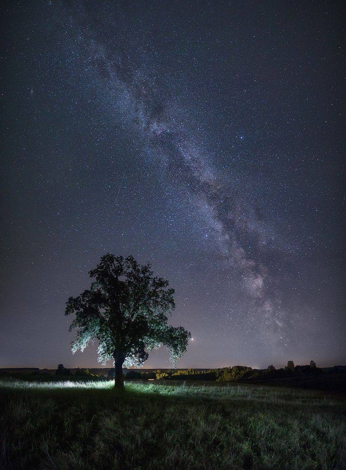, Голубев Дмитрий
