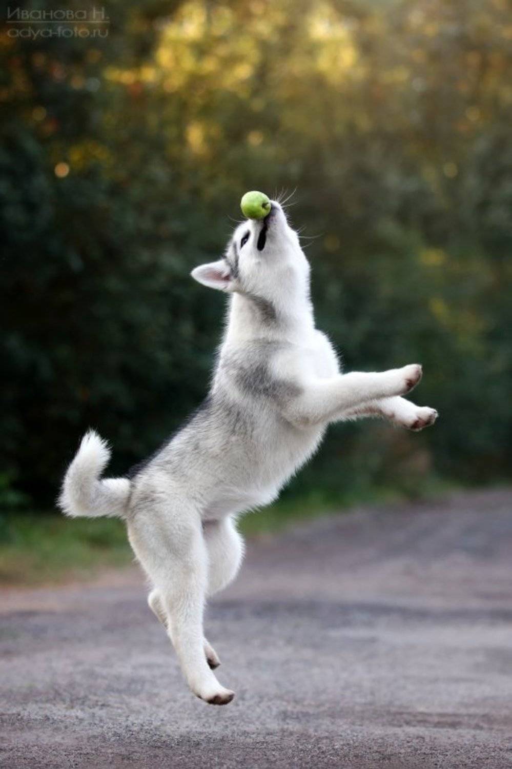 , Надежда Иванова