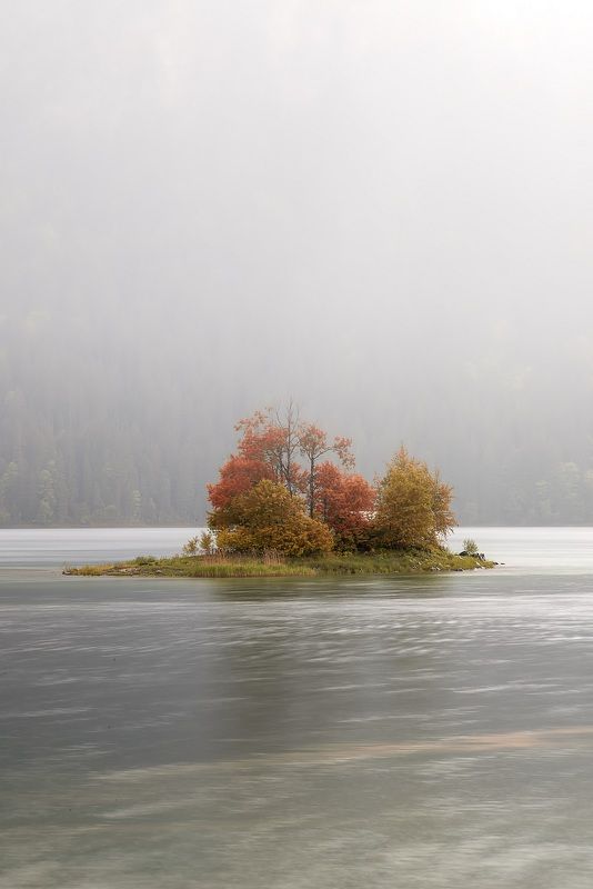 остров. озеро, туман Островок фото превью