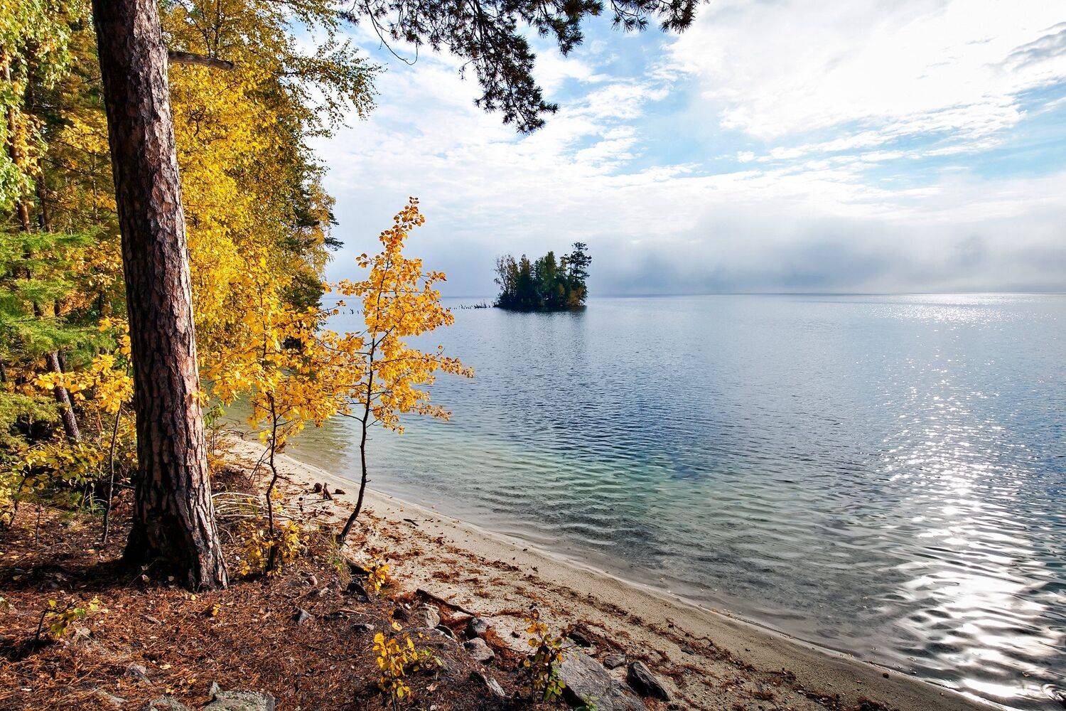 , Сергей Евдокимов