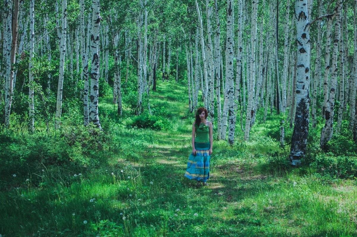 , Евгений Соколов